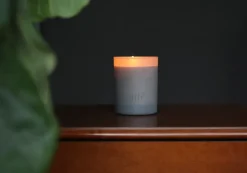 dilo candle No. 03 Tobacco + Cedar Handmade Beauty | Wellness